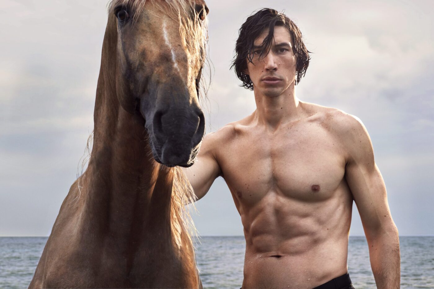 Spotlight on Adam Driver