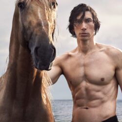 Spotlight on Adam Driver