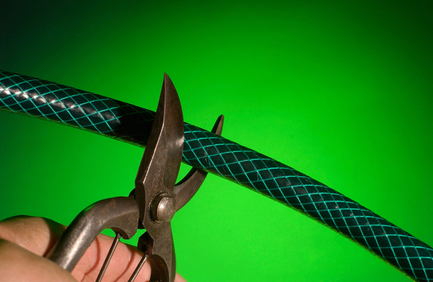 The Psychology of Sex: The Rise of the Vasectomy